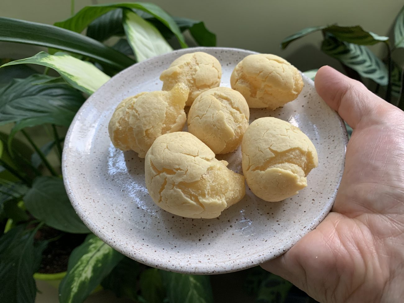 Pãezinhos de quê do @roledevegano