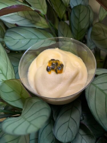 Mousse de maracujá vegano – No Calor do Fogão