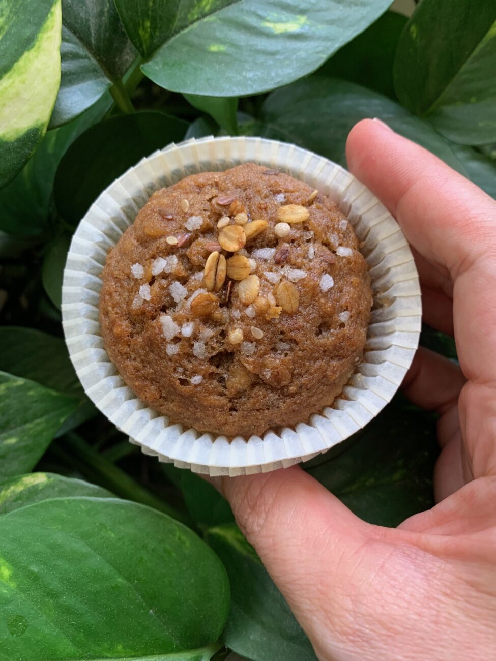 Bolinhos veganos de banana e granola