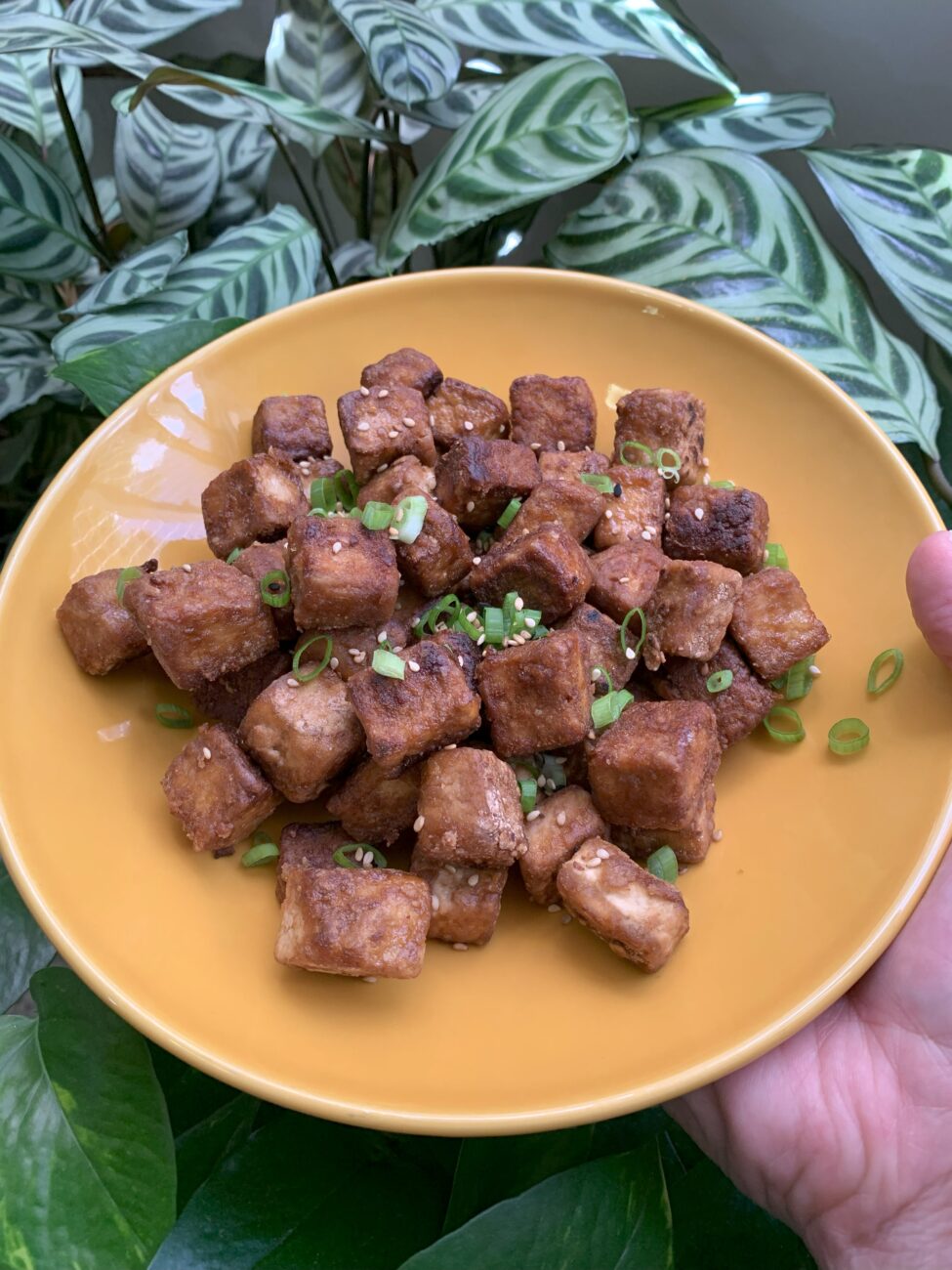 Tofu marinado crocante