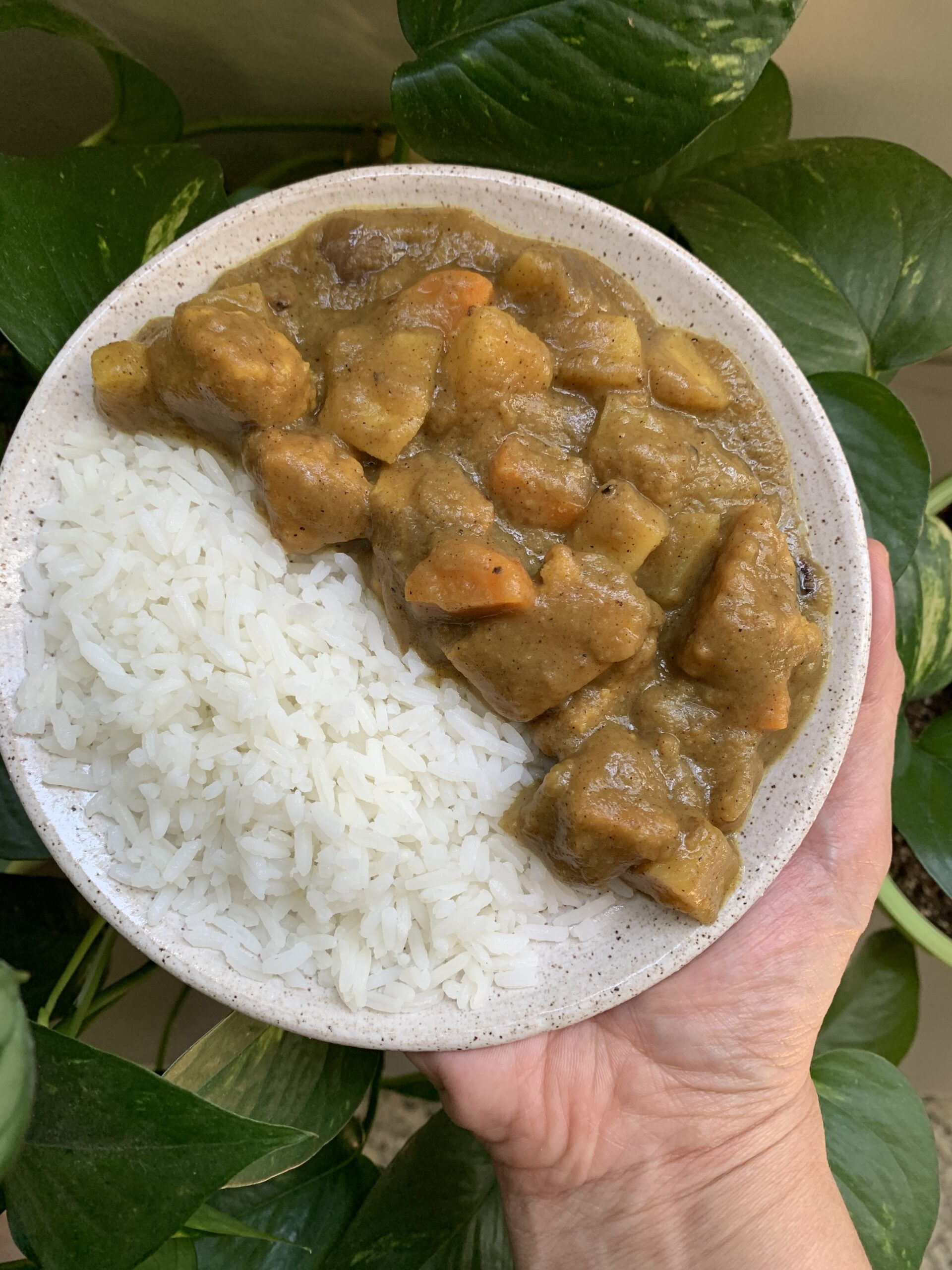 Karê vegano com tofu